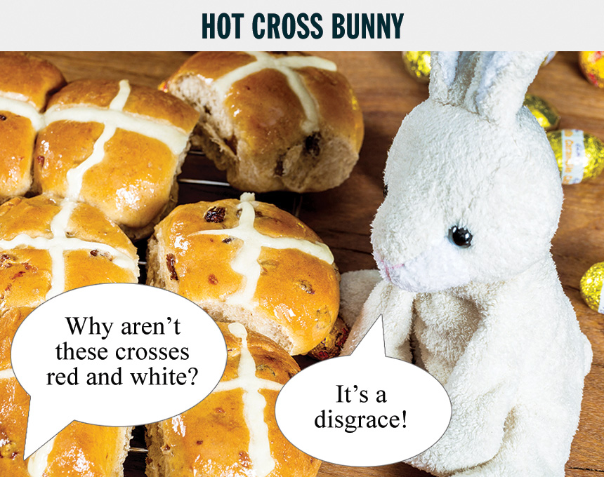 cross-bunny.jpg