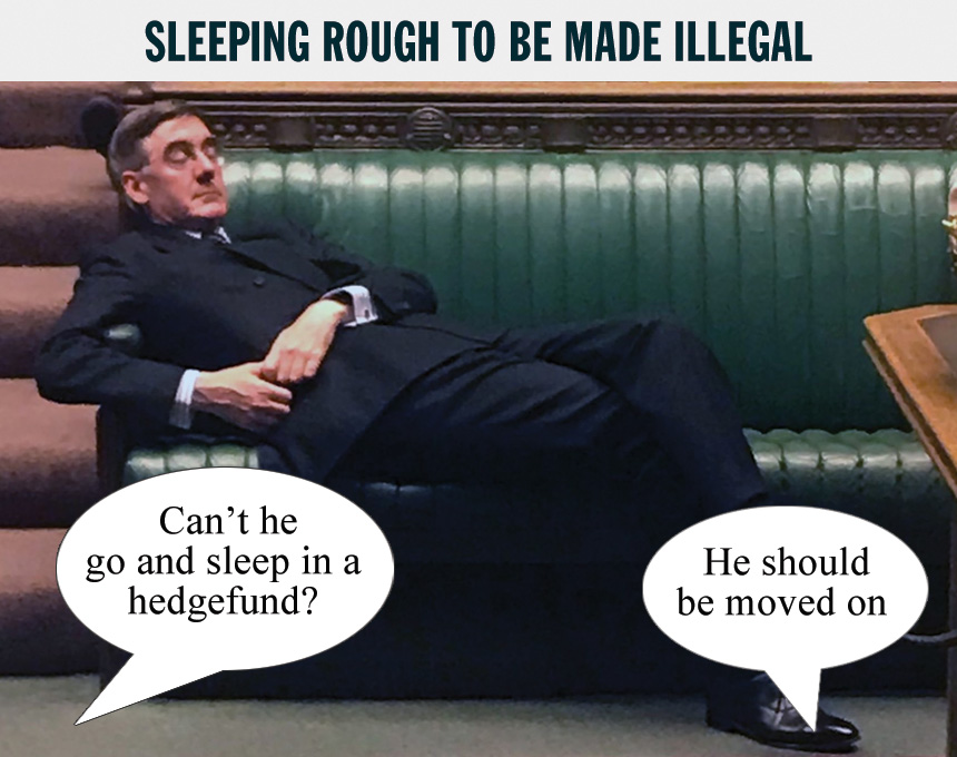 mogg-asleep.jpg