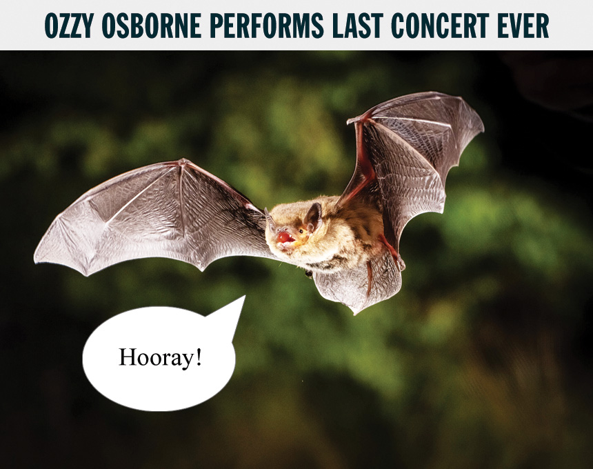 ozzy-bat.jpg