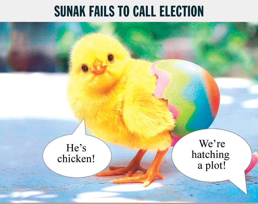 sunak-chicken.jpg