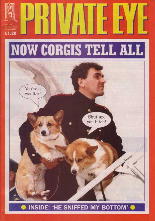 Corgis