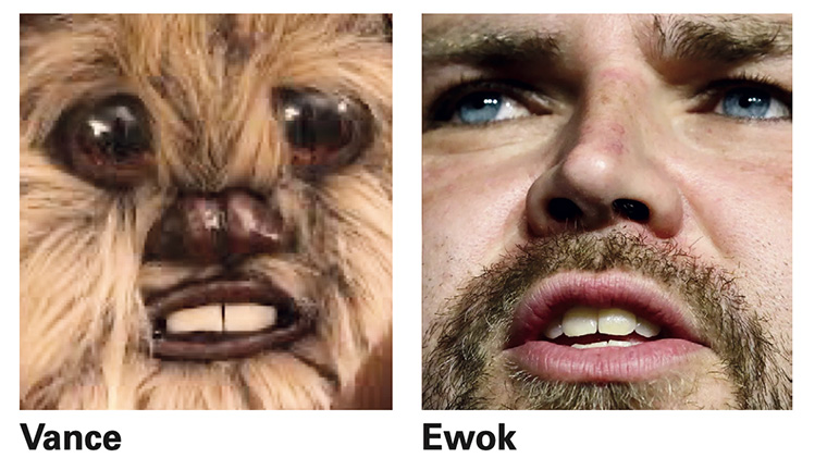 vance-ewok.jpg