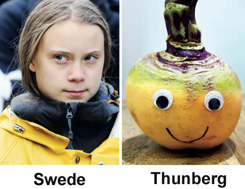 swede-thunberg.jpg