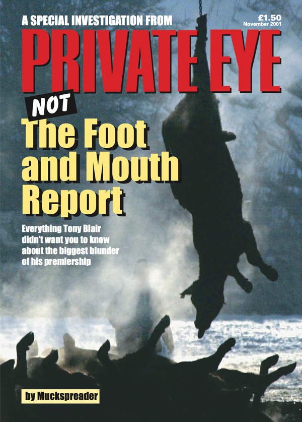 Not The Foot And Mouth Report
